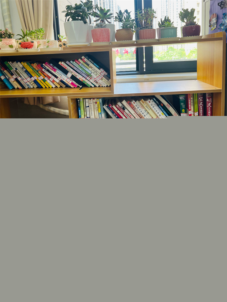 圖1：琳瑯滿目的圖書角（一）.jpg